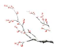 1745563508233.png