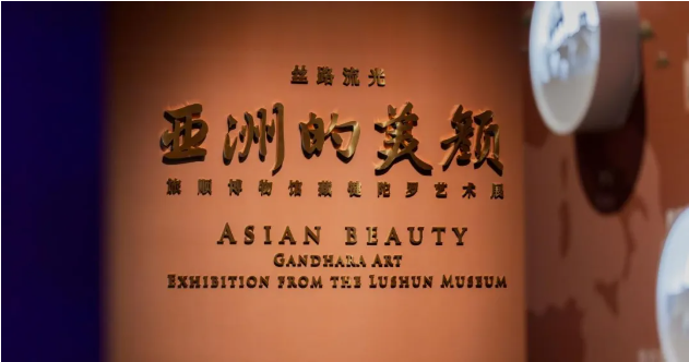 1746517177668.png