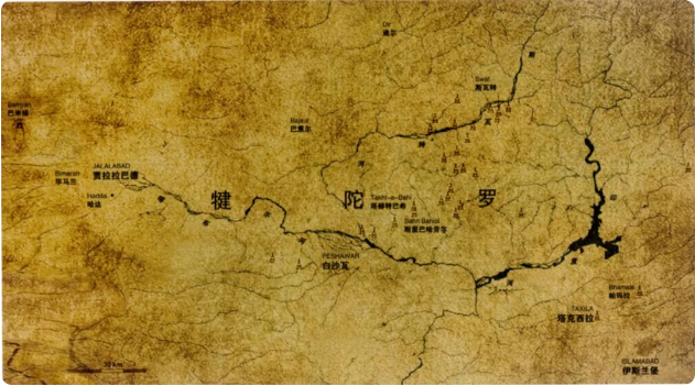 1747103439494.png