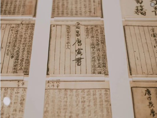 1747121509431.png