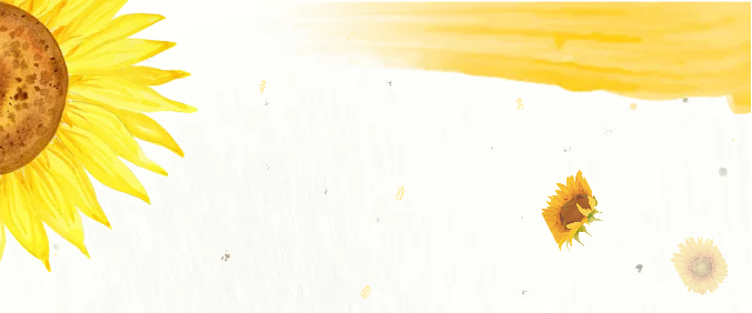 35b49666-5781-4ad3-bb98-cd906e0771da.png