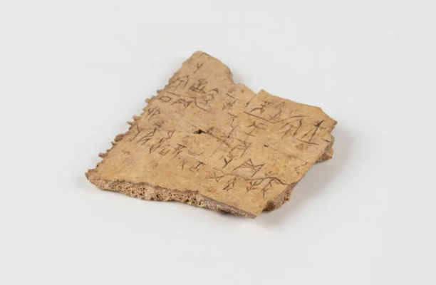 78fa9255-c13d-4ac3-8be0-9a5a09060551.png 78fa9255-c13d-4ac3-8be0-9a5a09060551.png