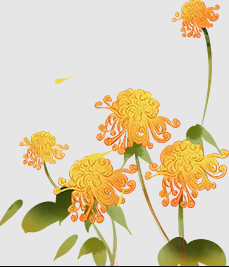 697e572f-f03c-410d-8f9b-f6d77bee28d7.png